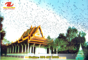TP.HCM – CÁI BÈ – VĨNH LONG – CẦN THƠ – SÓC TRĂNG – BẠC LIÊU – CÀ MAU
