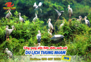 Du lịch Thung Nham – Lãng mạn giữa thiên nhiên xanh mát