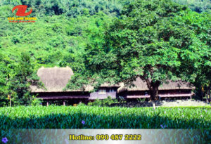 Du lịch Thung Nham – Lãng mạn giữa thiên nhiên xanh mát