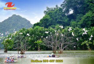 Du lịch Thung Nham – Lãng mạn giữa thiên nhiên xanh mát