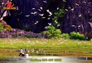 Du lịch Thung Nham – Lãng mạn giữa thiên nhiên xanh mát