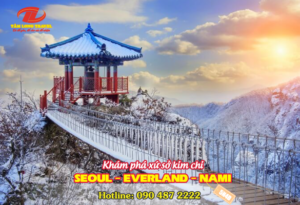 KHÁM PHÁ XỨ SỞ KIM CHI SEOUL – EVERLAND – NAMI