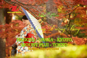 Du lịch Nhật Bản cung đường vàng: Nagoya – Osaka – Kyoto – Mount Fuji – Tokyo